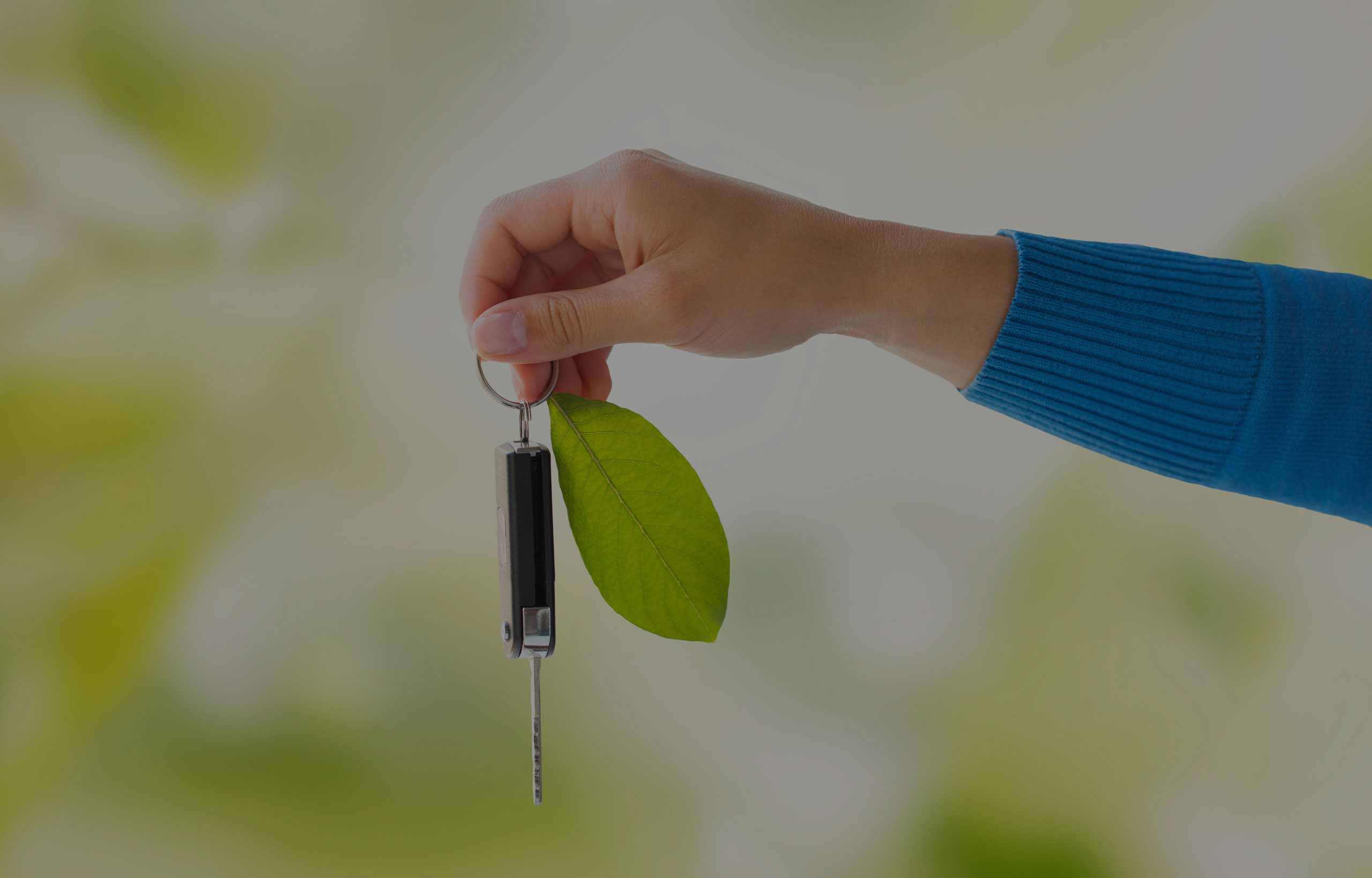 Cargreen Rental Company